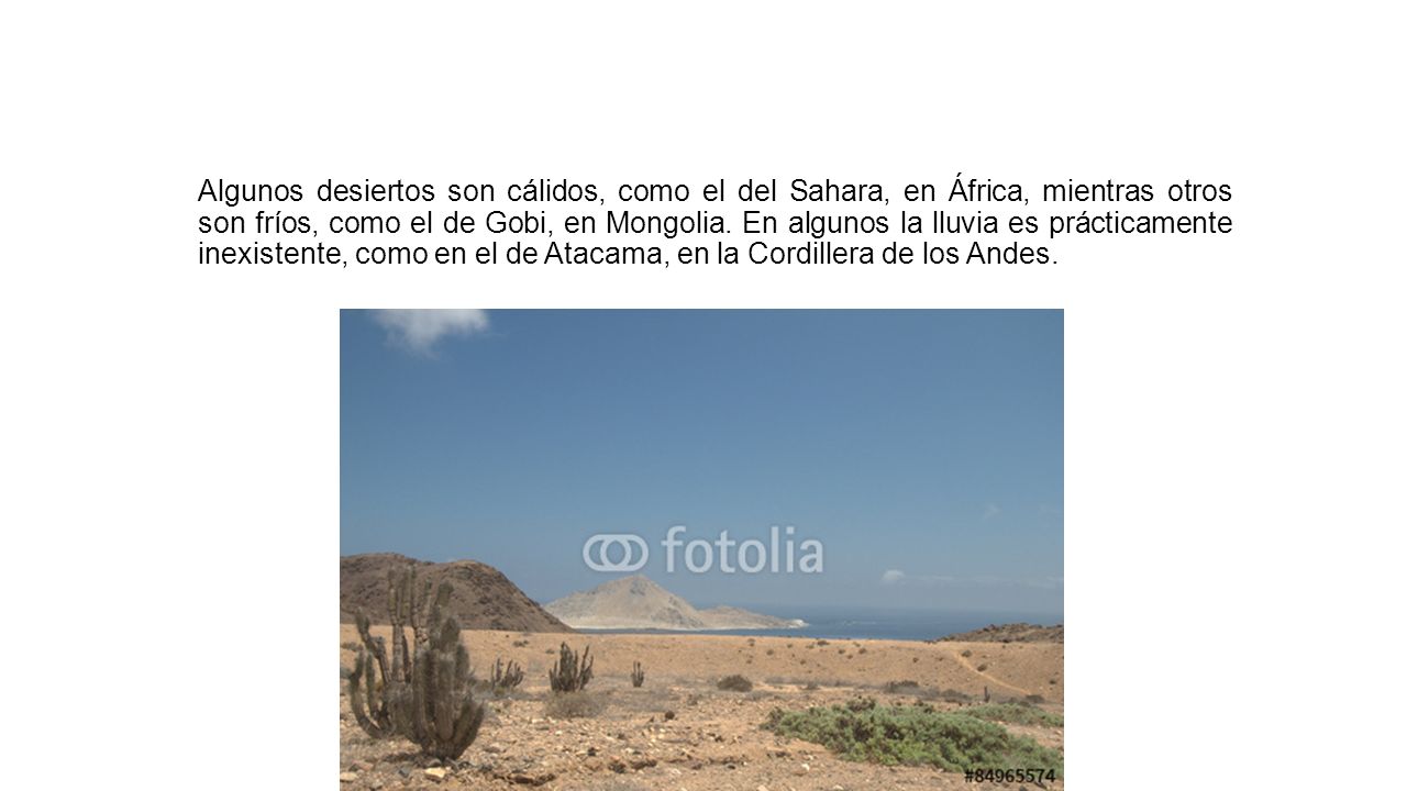 Algunos desiertos son cálidos, como el del Sahara, en África, mientras otros son fríos, como el de Gobi, en Mongolia.