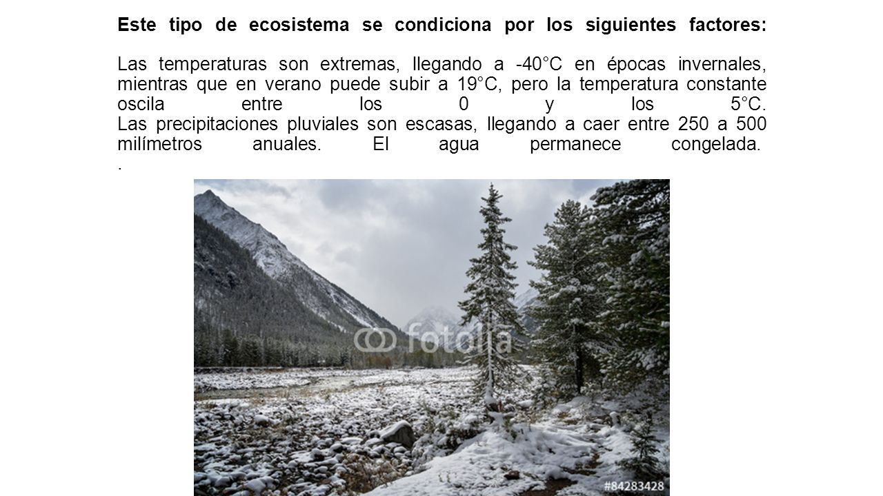 Este tipo de ecosistema se condiciona por los siguientes factores: Las temperaturas son extremas, llegando a -40°C en épocas invernales, mientras que en verano puede subir a 19°C, pero la temperatura constante oscila entre los 0 y los 5°C.