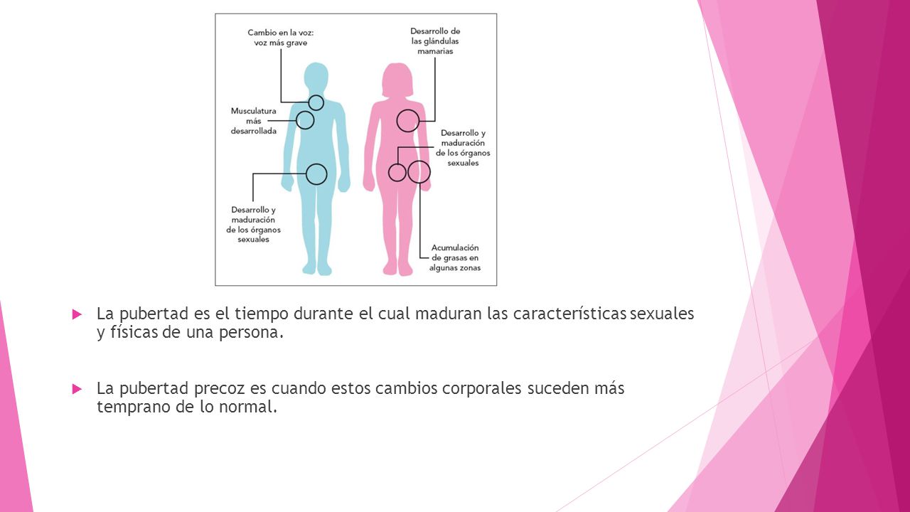 La pubertad es el tiempo durante el cual maduran las características sexuales y físicas de una persona.
