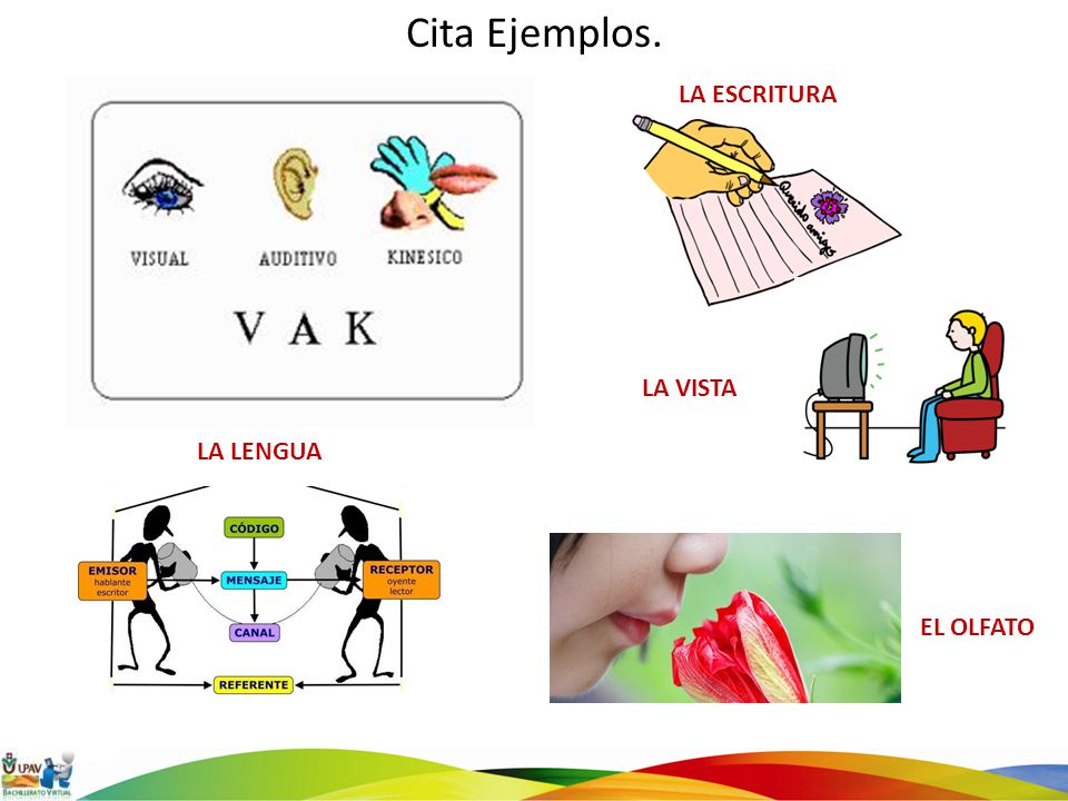 Cita Ejemplos. LA ESCRITURA LA VISTA LA LENGUA EL OLFATO