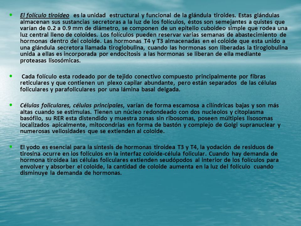 El folículo tiroideo es la unidad estructural y funcional de la glándula tiroides. Estas glándulas almacenan sus sustancias secretoras a la luz de los folículos, éstos son semejantes a quistes que varían de 0.2 a 0.9 mm de diámetro, se componen de un epitelio cuboideo simple que rodea una luz central lleno de coloides. Los folículos pueden reservar varias semanas de abastecimiento de hormonas dentro del coloide. Las hormonas T4 y T3 almacenadas en el coloide que esta unido a una glándula secretora llamada tiroglobulina, cuando las hormonas son liberadas la tiroglobulina unida a ellas es incorporada por endocitosis a las hormonas se liberan de ella mediante proteasas lisosómicas.
