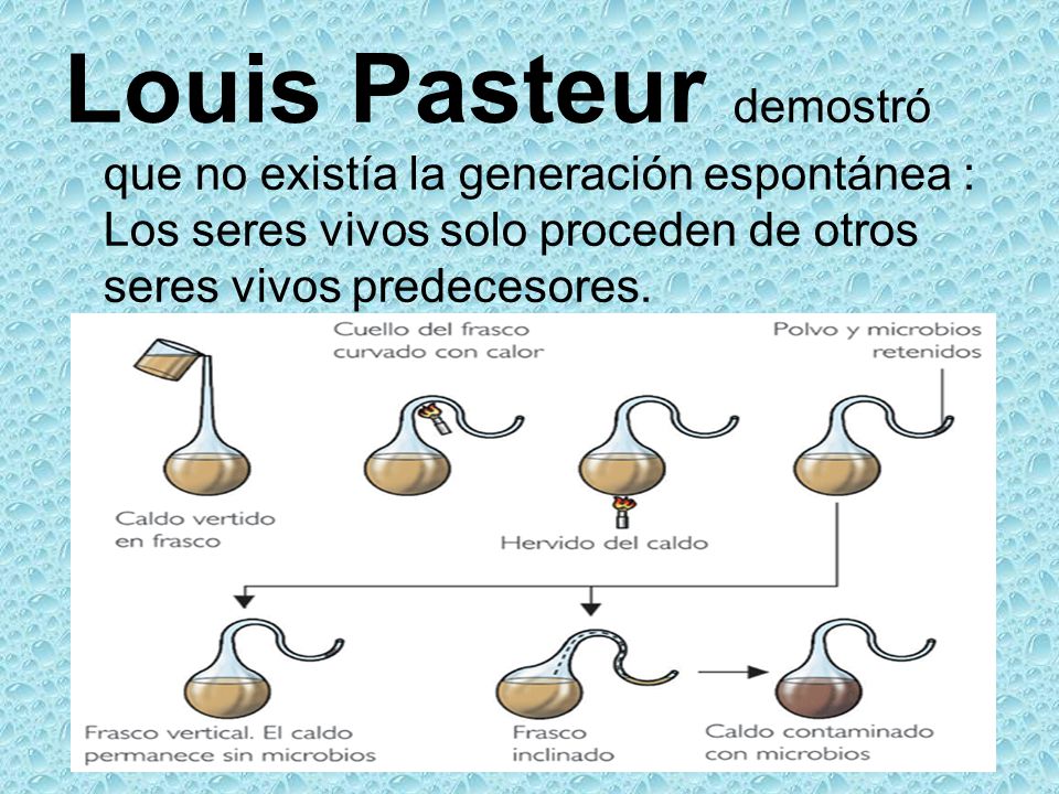 Louis Pasteur demostró que no existía la generación espontánea : Los seres vivos solo proceden de otros seres vivos predecesores.