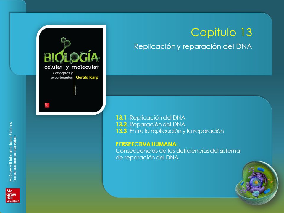 Capítulo 13 Replicación y reparación del DNA 13.1 Replicación del DNA