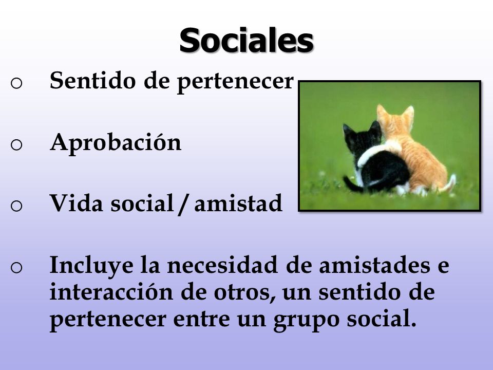 Sociales Sentido de pertenecer Aprobación Vida social / amistad