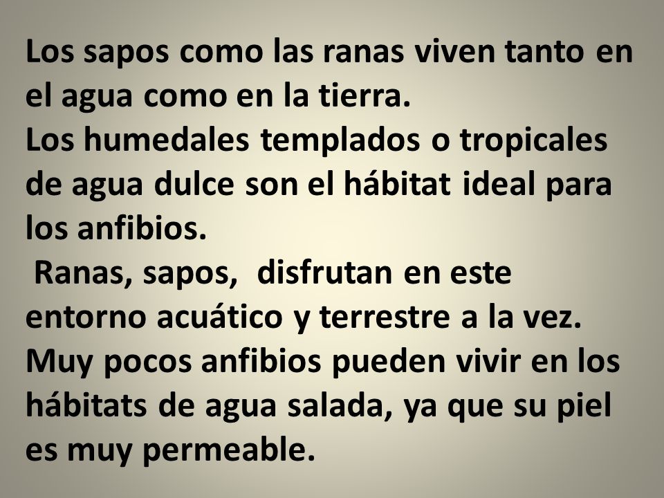 Los sapos como las ranas viven tanto en el agua como en la tierra.