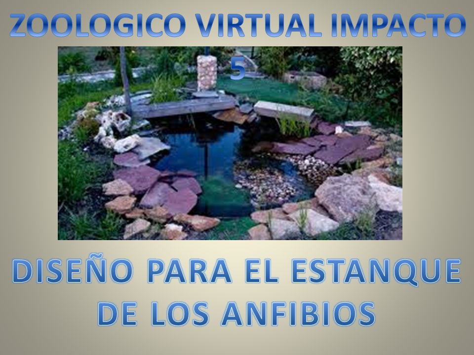 ZOOLOGICO VIRTUAL IMPACTO 5 DISEÑO PARA EL ESTANQUE DE LOS ANFIBIOS