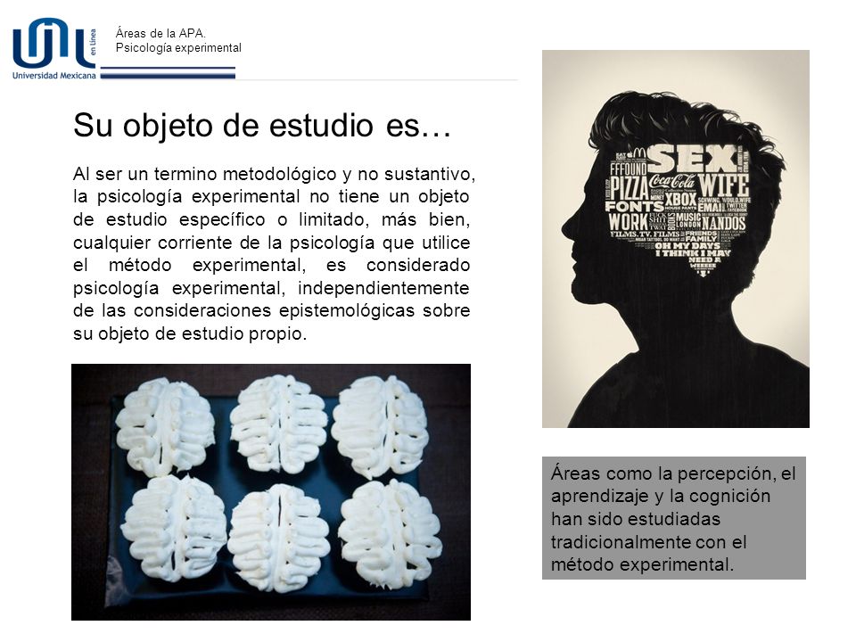 Descripción O. E. Descripción O. E. Su objeto de estudio es…