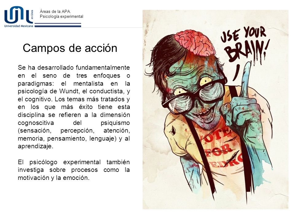 Descripción Campos de acción O. E. Descripción Campos de acción