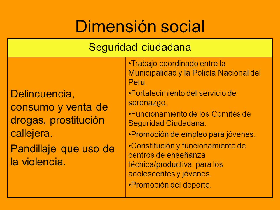 Dimensión social Seguridad ciudadana. Delincuencia, consumo y venta de drogas, prostitución callejera.