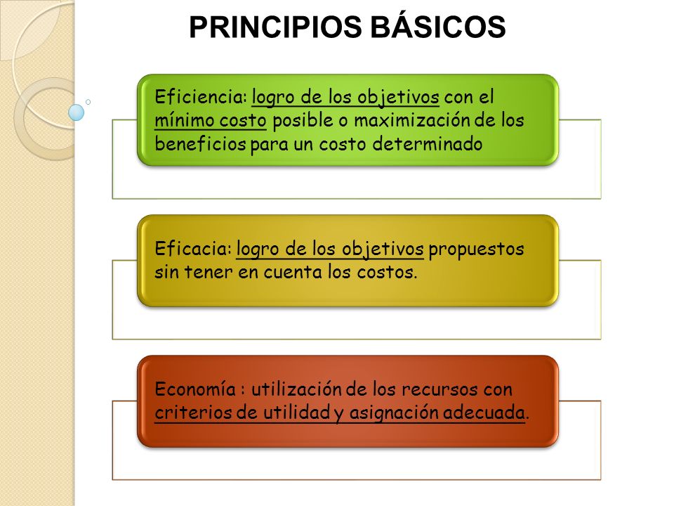 PRINCIPIOS BÁSICOS Eficiencia: logro de los objetivos con el mínimo costo posible o maximización de los beneficios para un costo determinado.