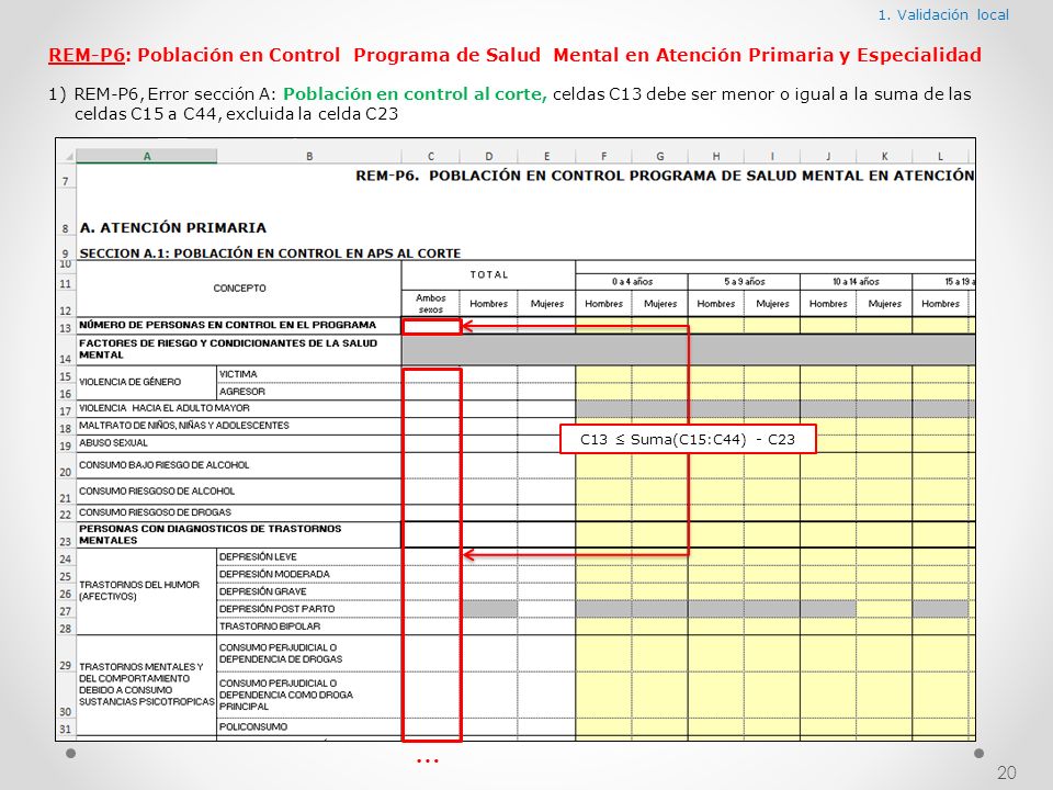 1. Validación local REM-P6: Población en Control Programa de Salud Mental en Atención Primaria y Especialidad.