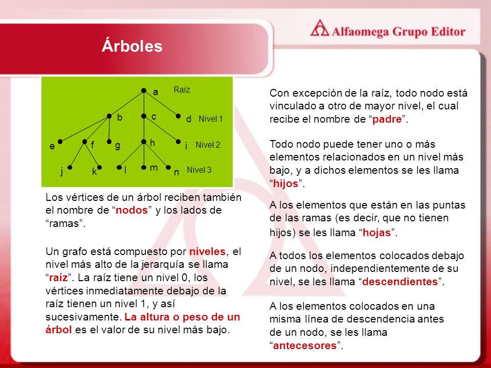 Árboles n. m. l. k. j. i. h. g. f. e. d. c. b. a. Raíz. Nivel 1. Nivel 2. Nivel 3.