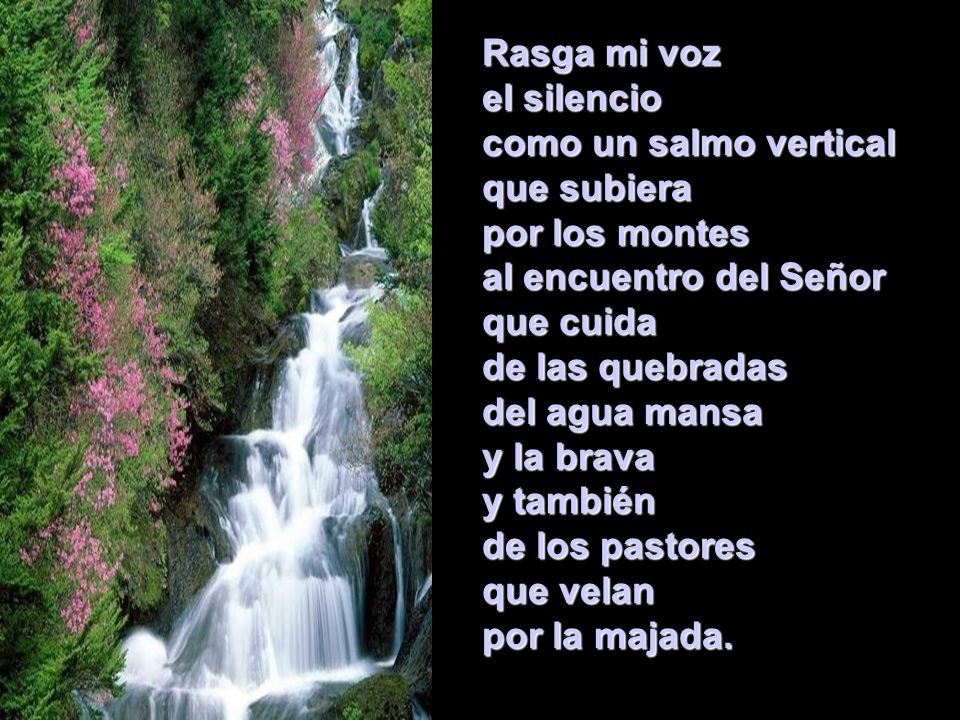 Rasga mi voz el silencio. como un salmo vertical. que subiera. por los montes. al encuentro del Señor.