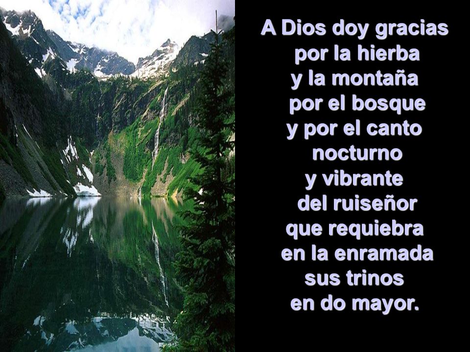 A Dios doy gracias por la hierba. y la montaña. por el bosque. y por el canto. nocturno. y vibrante.