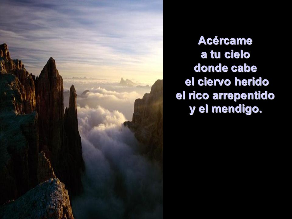 Acércame a tu cielo donde cabe el ciervo herido el rico arrepentido y el mendigo.