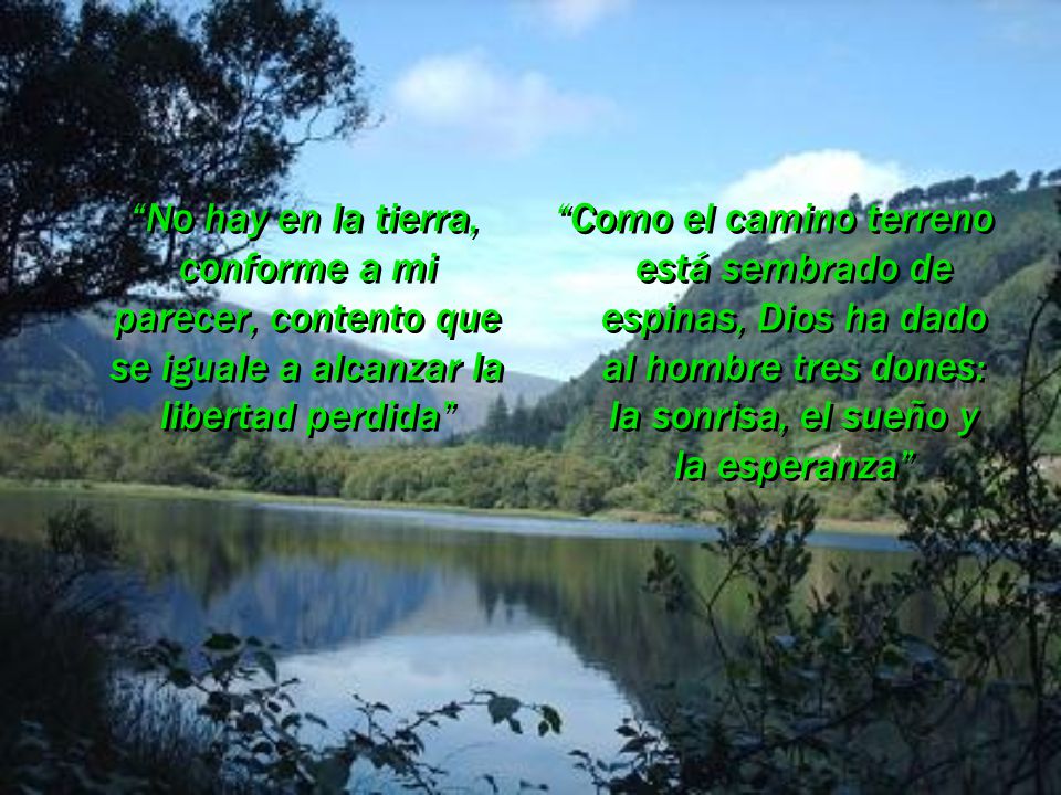No hay en la tierra, conforme a mi parecer, contento que se iguale a alcanzar la libertad perdida