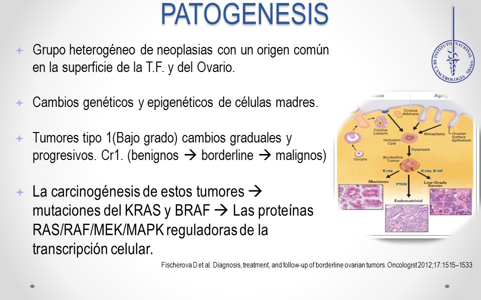 PATOGENESIS Grupo heterogéneo de neoplasias con un origen común en la superficie de la T.F. y del Ovario.