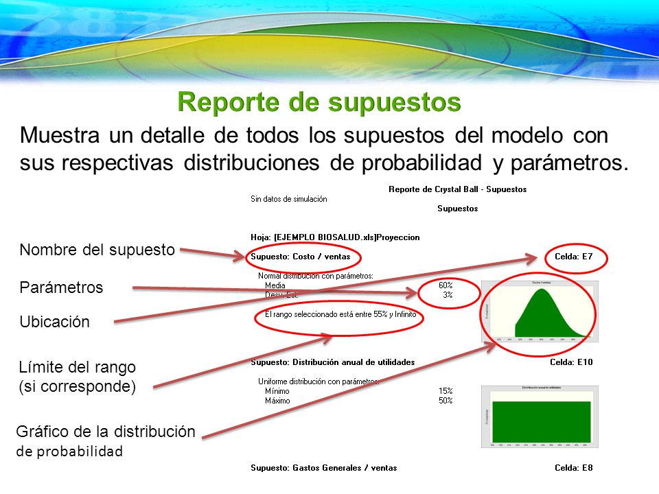 Reporte de supuestos Muestra un detalle de todos los supuestos del modelo con sus respectivas distribuciones de probabilidad y parámetros.