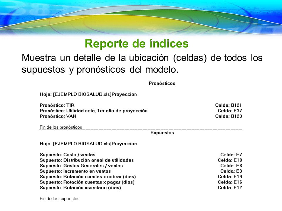 Reporte de índices Muestra un detalle de la ubicación (celdas) de todos los supuestos y pronósticos del modelo.
