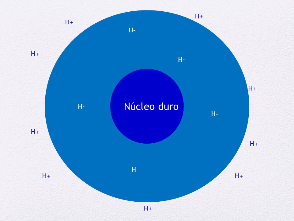 H- H+ H+ H- H+ H- Núcleo duro H+ H- H+ H+ H- H+ H+ H+