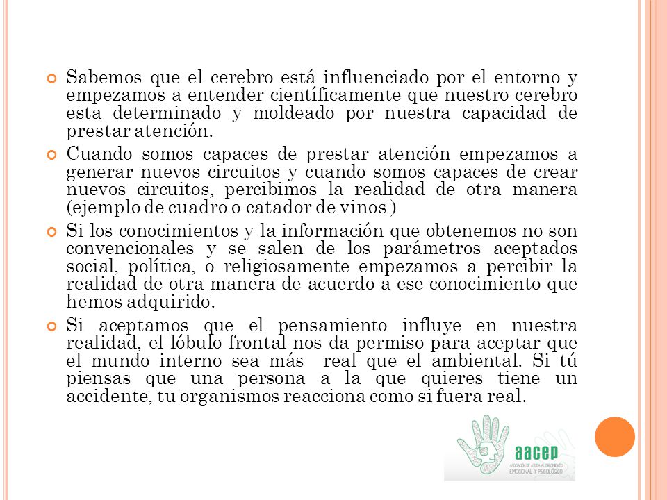 Sabemos que el cerebro está influenciado por el entorno y empezamos a entender científicamente que nuestro cerebro esta determinado y moldeado por nuestra capacidad de prestar atención.