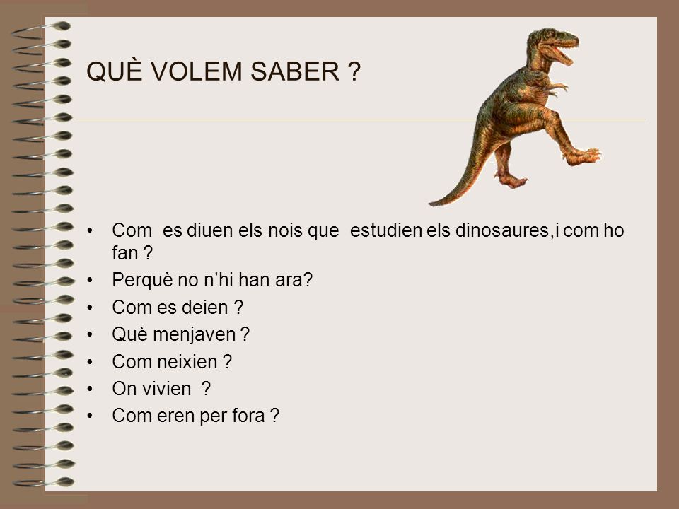 QUÈ VOLEM SABER Com es diuen els nois que estudien els dinosaures,i com ho fan Perquè no n’hi han ara