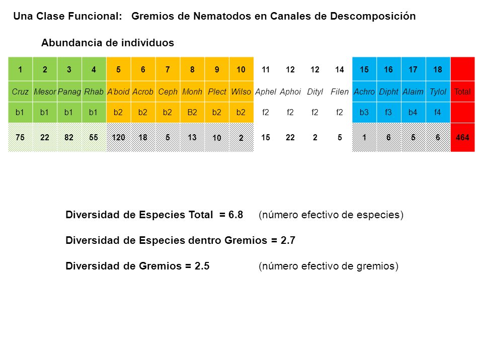 Una Clase Funcional: Gremios de Nematodos en Canales de Descomposición