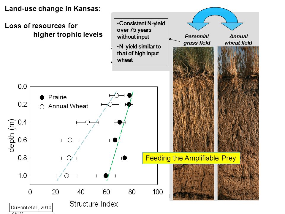 Land-use change in Kansas: Loss of resources for higher trophic levels