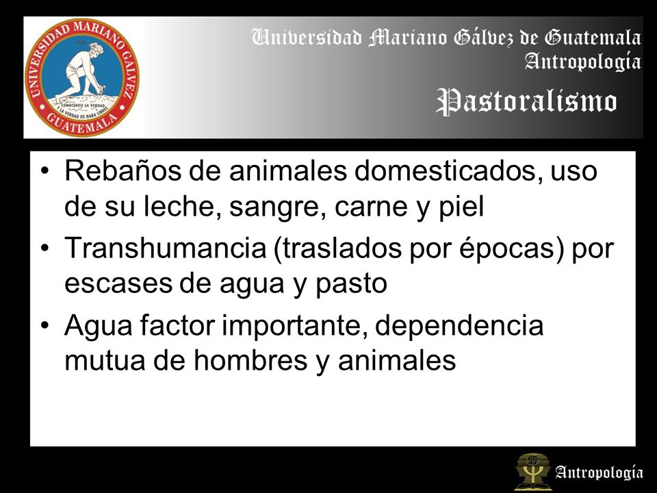 Pastoralismo Rebaños de animales domesticados, uso de su leche, sangre, carne y piel.