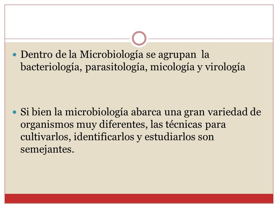 Dentro de la Microbiología se agrupan la bacteriología, parasitología, micología y virología