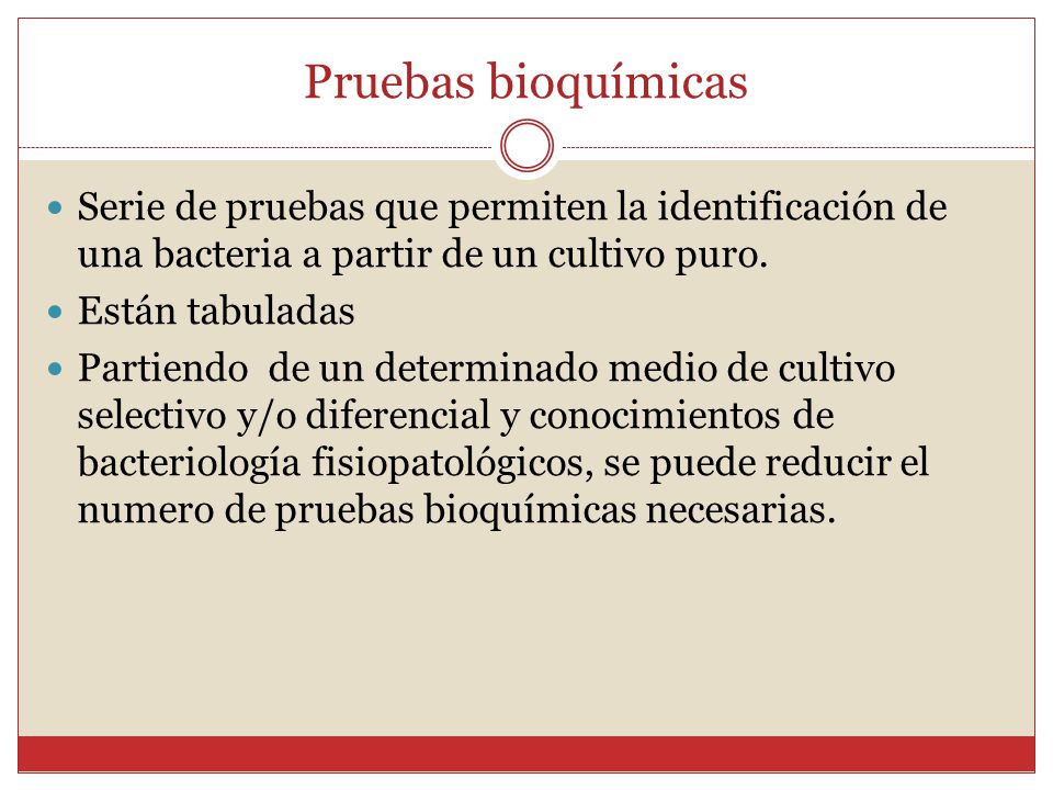 Pruebas bioquímicas Serie de pruebas que permiten la identificación de una bacteria a partir de un cultivo puro.