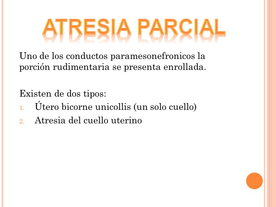 Atresia parcial Uno de los conductos paramesonefronicos la porción rudimentaria se presenta enrollada.