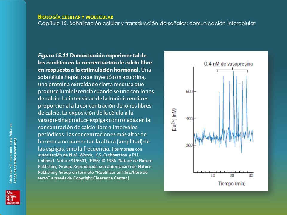 Figura Demostración experimental de los cambios en la concentración de calcio libre en respuesta a la estimulación hormonal.