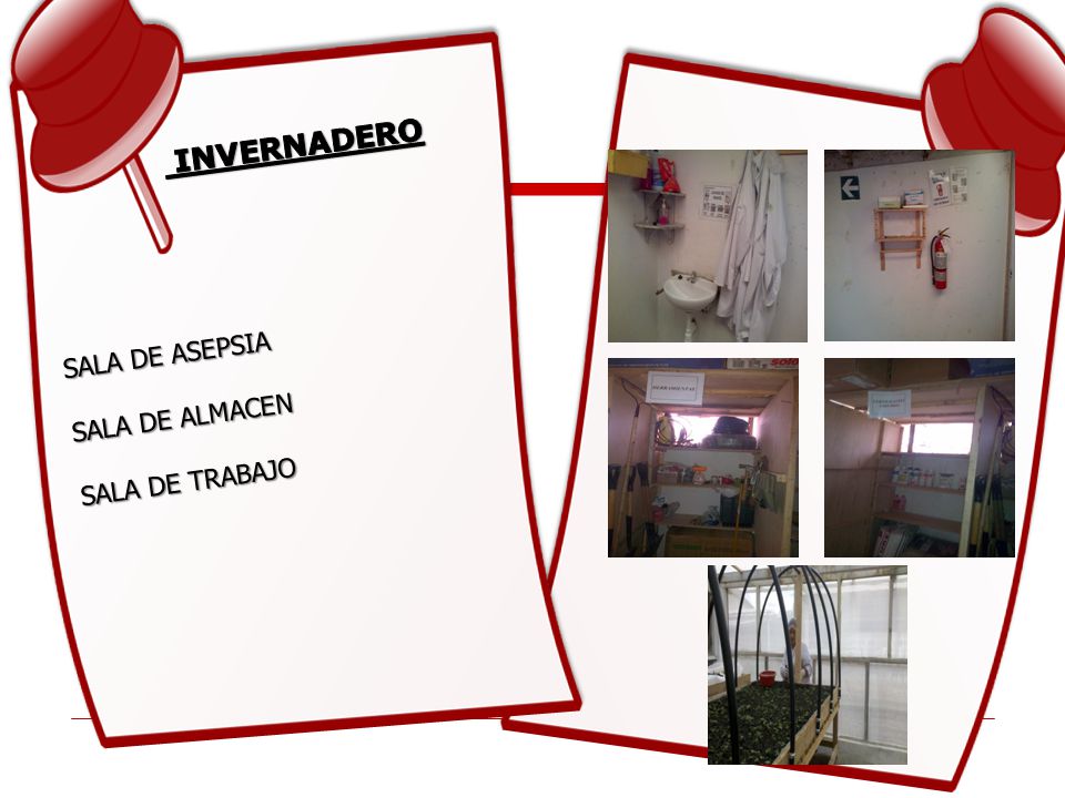 INVERNADERO SALA DE ASEPSIA SALA DE ALMACEN SALA DE TRABAJO