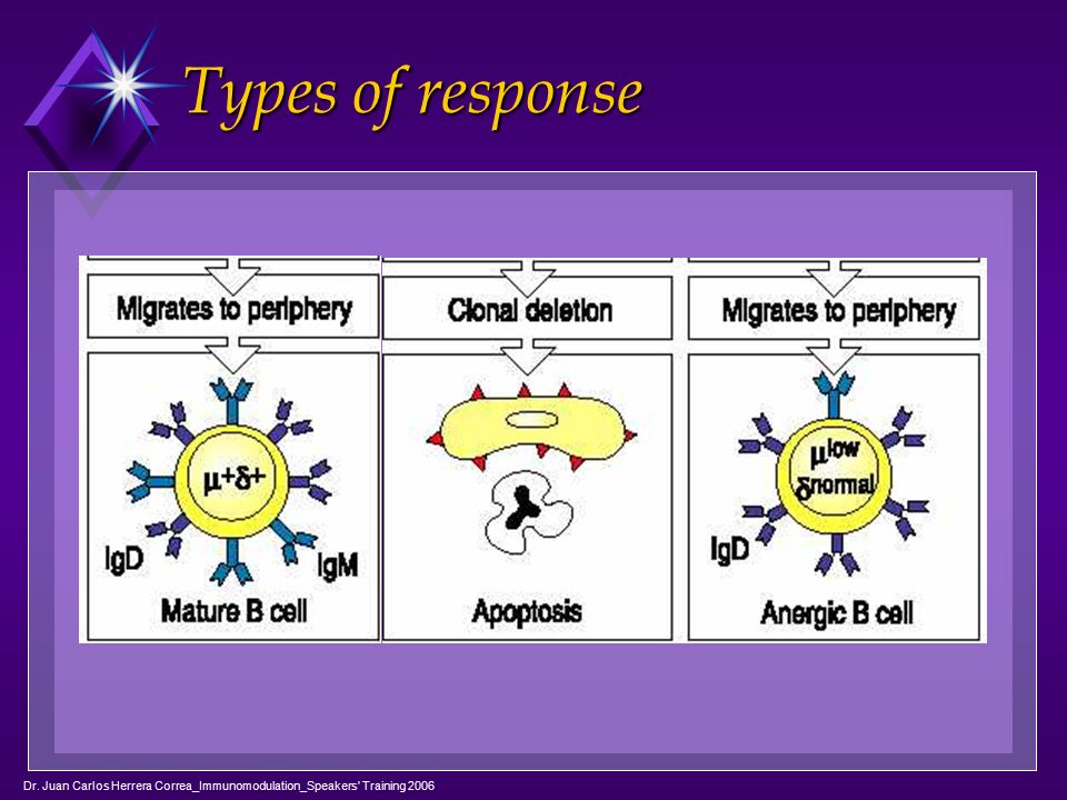 Types of response Dr. Juan Carlos Herrera Correa_Immunomodulation_Speakers Training 2006