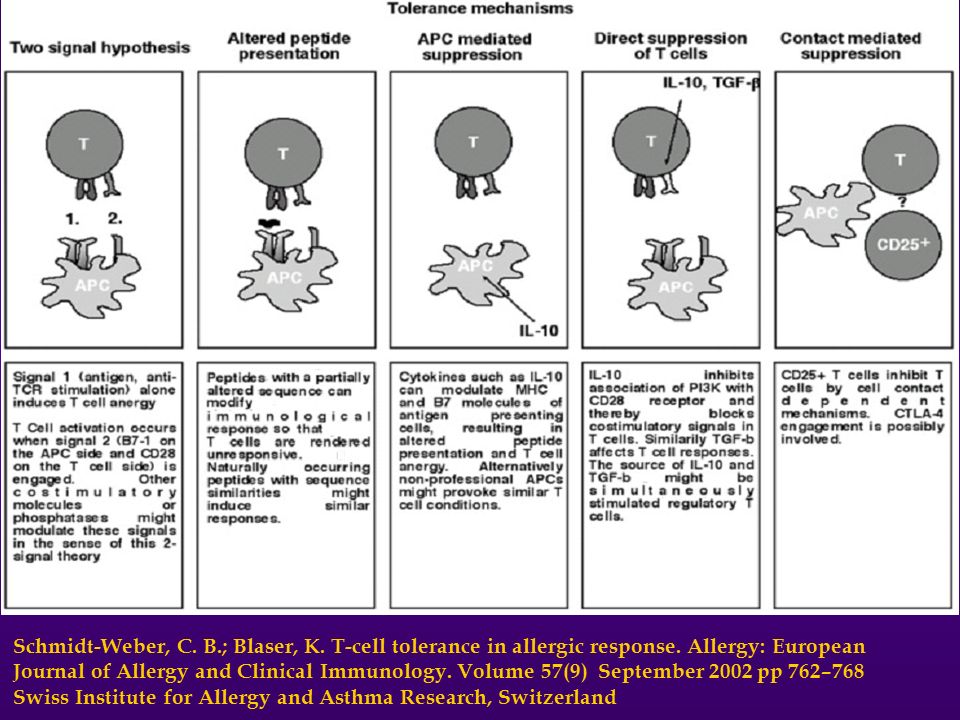 Schmidt-Weber, C. B.; Blaser, K. T-cell tolerance in allergic response. Allergy: European Journal of Allergy and Clinical Immunology. Volume 57(9) September 2002 pp 762–768