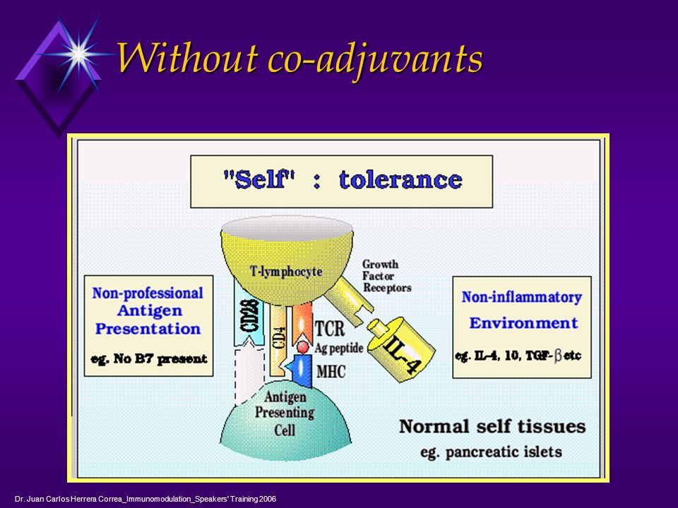 Without co-adjuvants Dr. Juan Carlos Herrera Correa_Immunomodulation_Speakers Training 2006