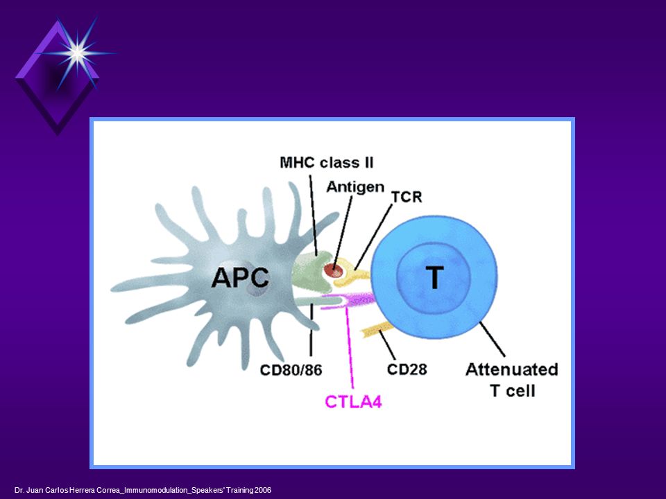Dr. Juan Carlos Herrera Correa_Immunomodulation_Speakers Training 2006