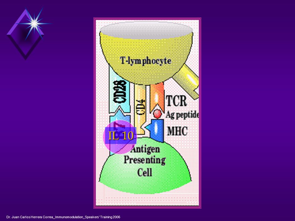 IL 10 Dr. Juan Carlos Herrera Correa_Immunomodulation_Speakers Training 2006