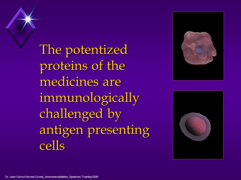 The potentized proteins of the medicines are immunologically challenged by antigen presenting cells