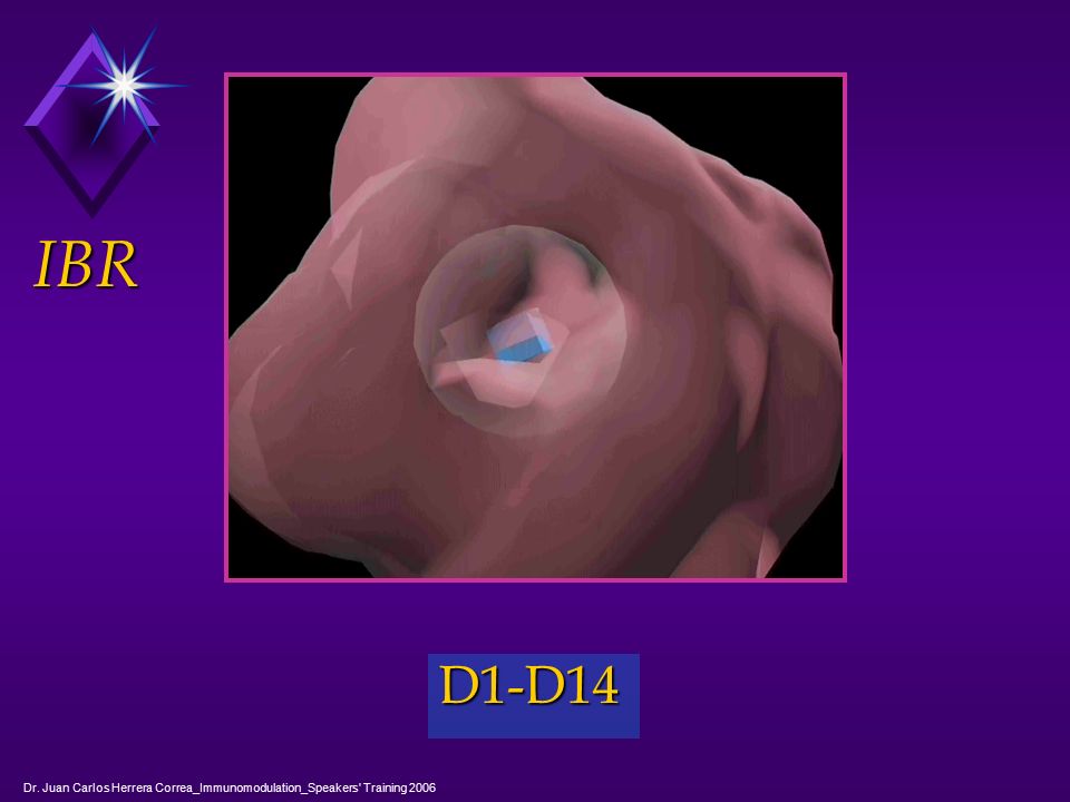 IBR D1-D14 Dr. Juan Carlos Herrera Correa_Immunomodulation_Speakers Training 2006