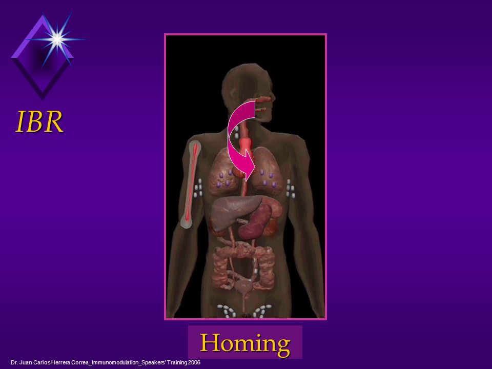 IBR Homing Dr. Juan Carlos Herrera Correa_Immunomodulation_Speakers Training 2006