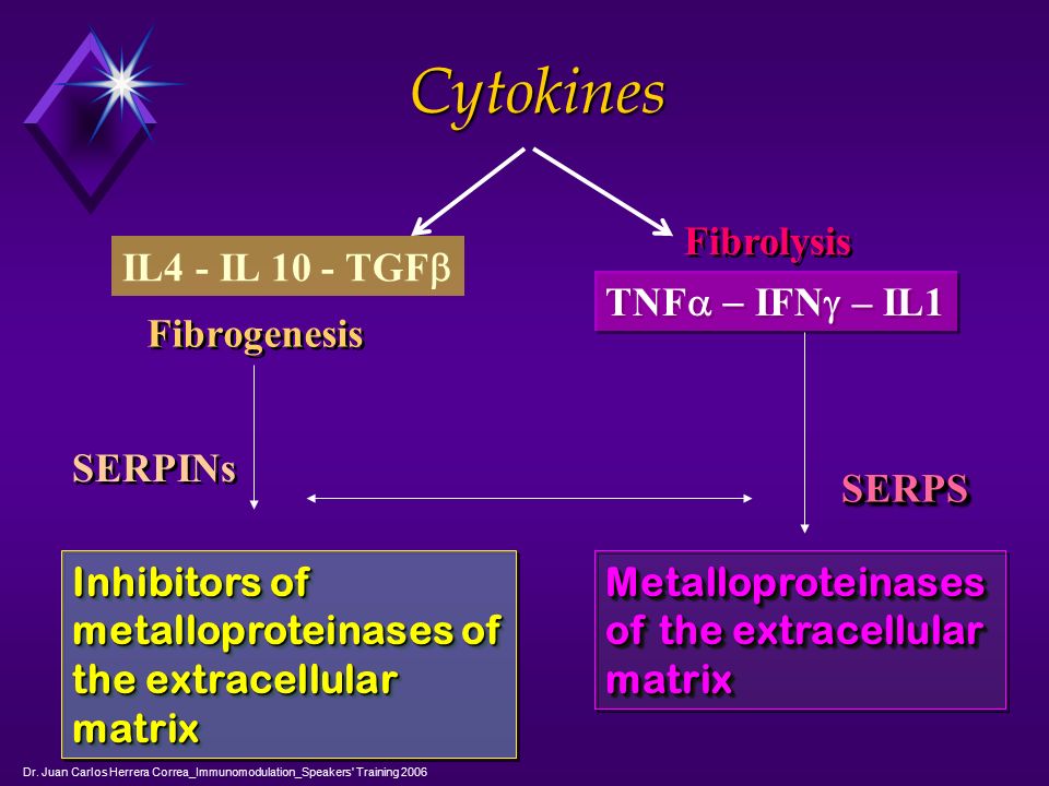 Cytokines Fibrolysis IL4 - IL 10 - TGFb TNFa - IFNg – IL1 Fibrogenesis