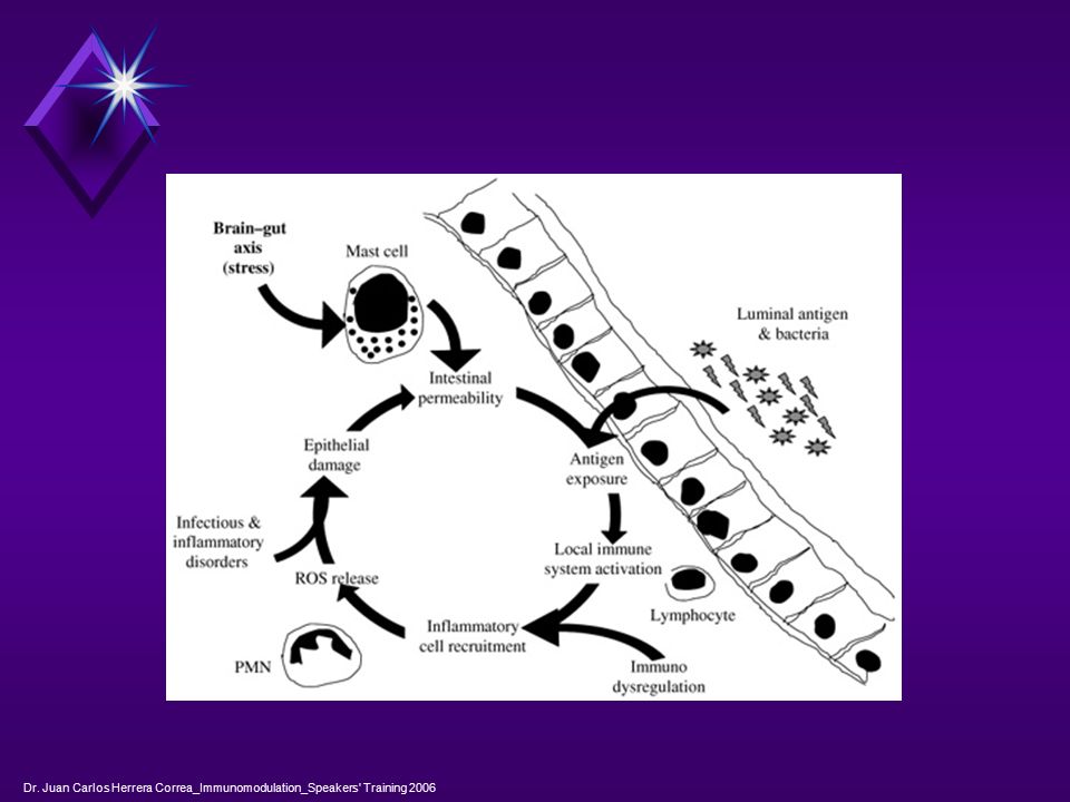 Dr. Juan Carlos Herrera Correa_Immunomodulation_Speakers Training 2006