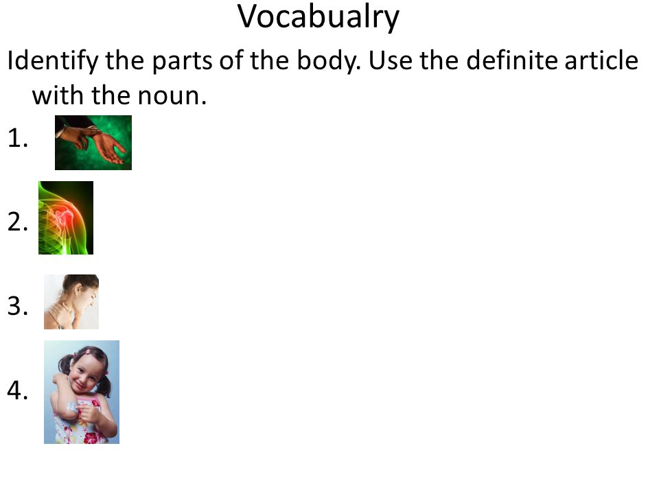 Vocabualry Identify the parts of the body. Use the definite article with the noun
