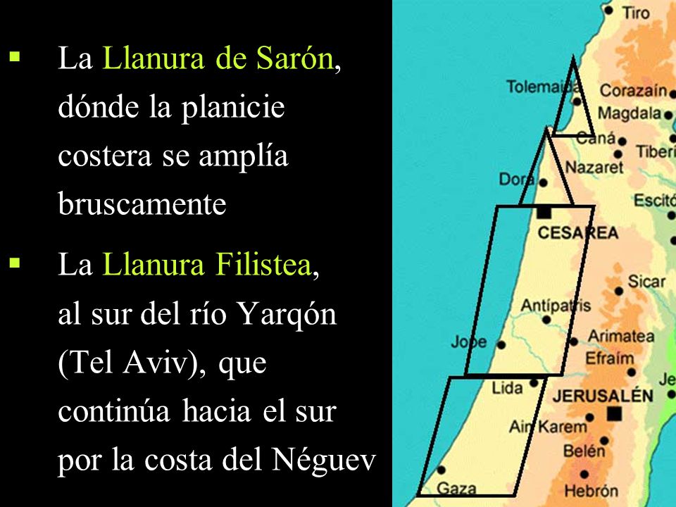 La Llanura de Sarón, dónde la planicie costera se amplía bruscamente