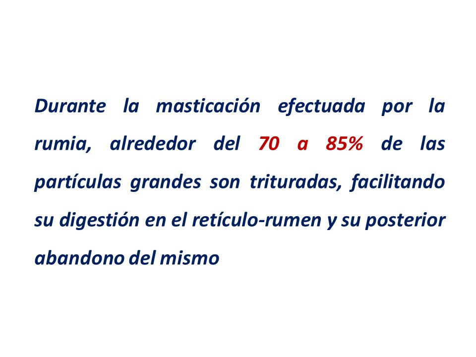 Durante la masticación efectuada por la rumia, alrededor del 70 a 85% de las partículas grandes son trituradas, facilitando su digestión en el retículo-rumen y su posterior abandono del mismo