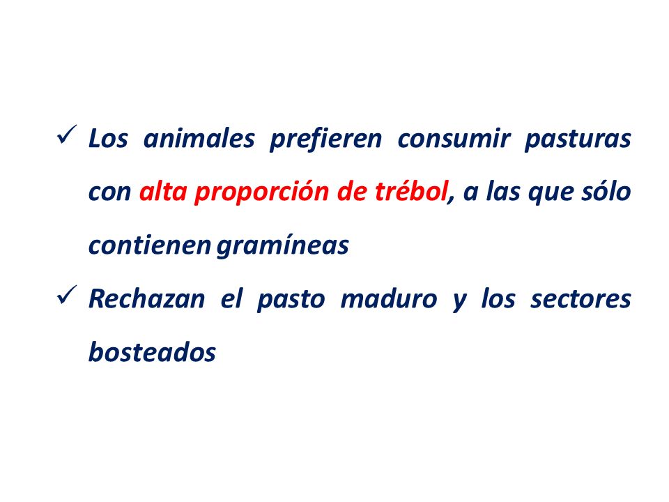 Los animales prefieren consumir pasturas con alta proporción de trébol, a las que sólo contienen gramíneas