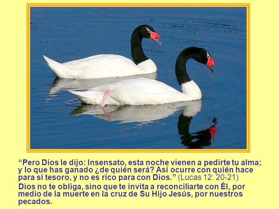Pero Dios le dijo: Insensato, esta noche vienen a pedirte tu alma; y lo que has ganado ¿de quién será Así ocurre con quién hace para sí tesoro, y no es rico para con Dios. (Lucas 12: 20-21)