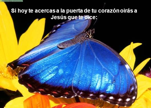 Si hoy te acercas a la puerta de tu corazón oirás a Jesús que te dice: